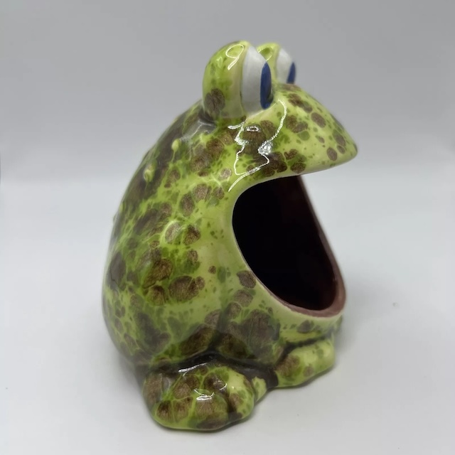 Side view of the ceramic frog sponge holder, emphasizing its hand-crafted details and joyful expression