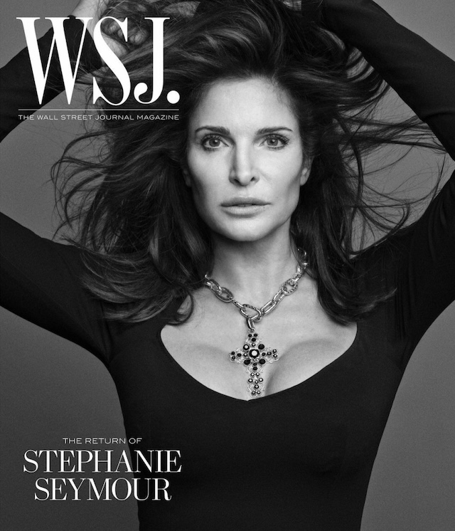 It can be said that Stephanie is one of the most successful models in the world