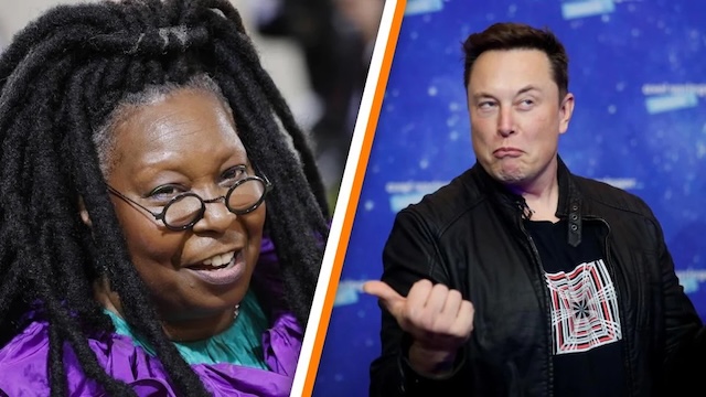 Elon Musk's campaign to shut down 'The View' is bold, seen by many as a wake-up call for the media industry