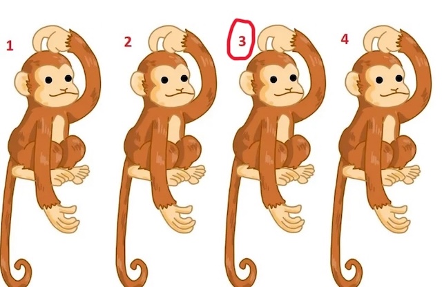 The correct answer is monkey number 3