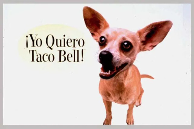 Gidget the Chihuahua, one of Taco Bell’s most famous mascots, made waves in the late '90s with the talking Chihuahua commercials, which became a hit among kids and helped boost the brand’s popularity.