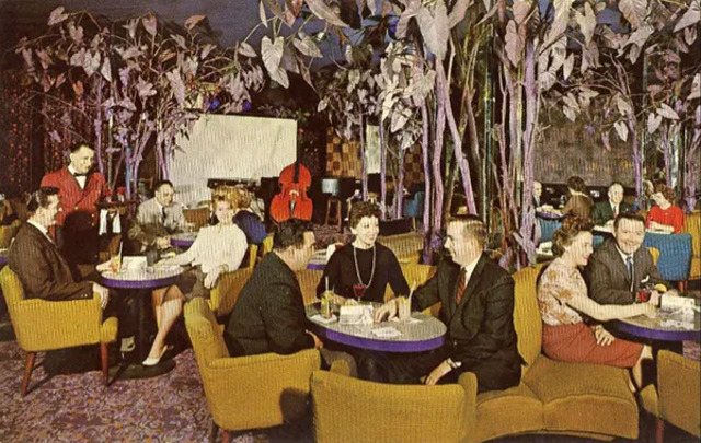The Purple Tree Lounge at the Manager Hotel in Rochester, New York: where cocktails and comfort come together.