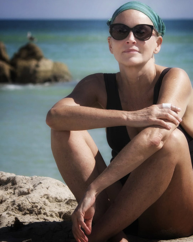 Fast forward to summer 2025, Sharon Stone once again stole the spotlight with a black swimsuit that perfectly showcased her toned curves and radiant skin.