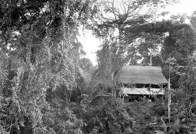 Juliane’s parents set up a research station deep in the Amazon, dedicating their lives to studying the region’s rich wildlife. (Wikimedia Commons: Maria and Hans-Wilhelm Koepcke).