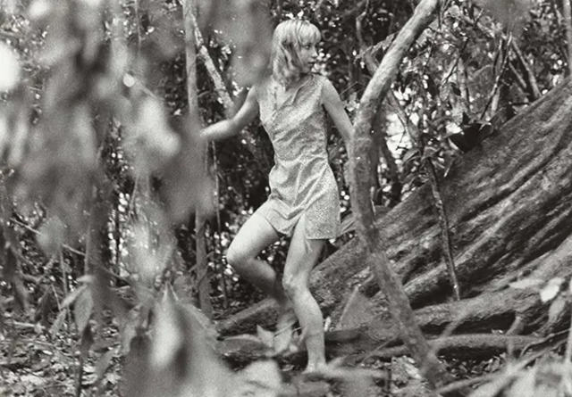 Susan Penhaligon’s portrayal of Juliane Koepcke in Miracles Still Happen (1974) is an unforgettable performance that captures the emotional depth of her journey.