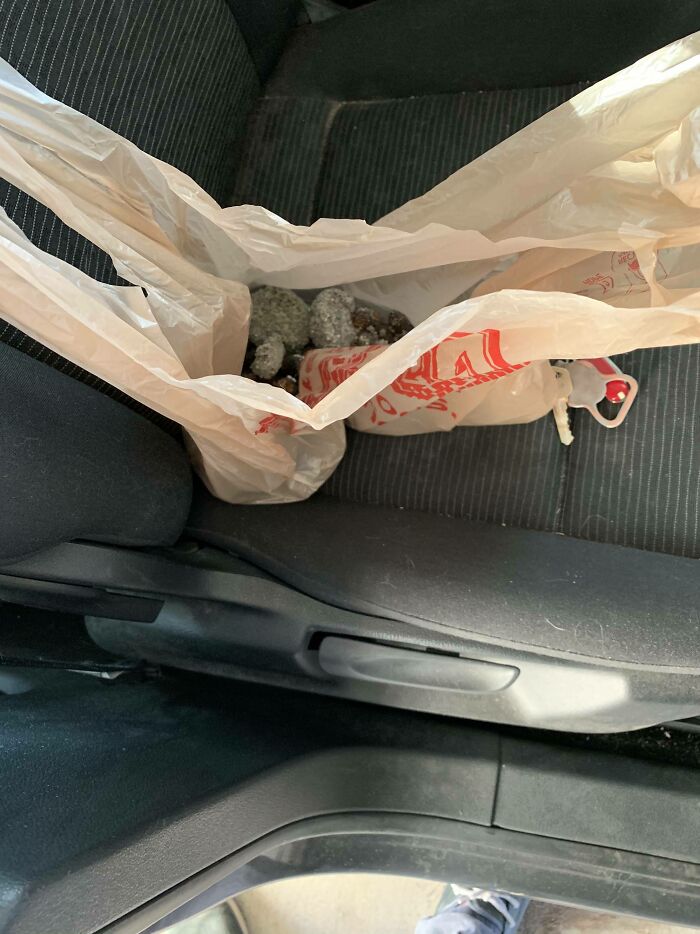 Brought Cat Litter Bag to Work Instead of Lunch