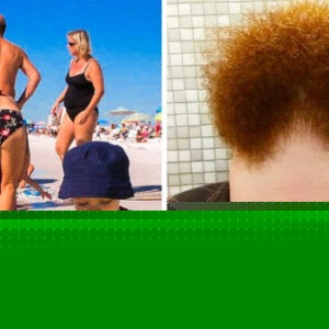25 Optical Illusions That Will Seriously Confuse Your Brain — Can You Trust Your Eyes?