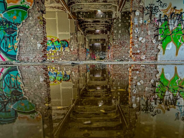Mirror in a Puddle: A Surreal Reflection