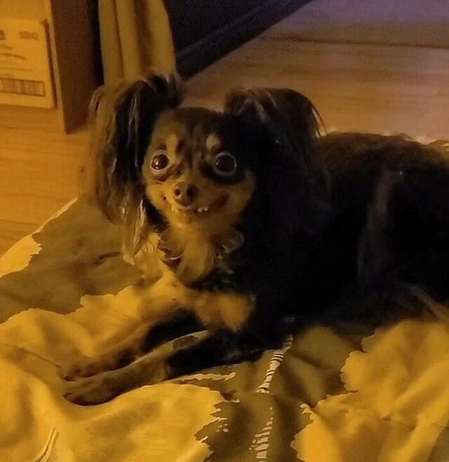 Sophie’s Face That Makes You Question Reality