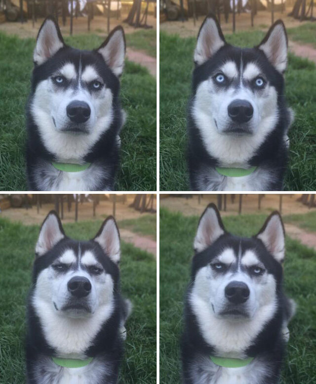 The Betrayal: That Moment the Ball Never Came