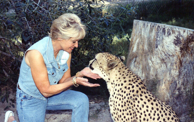 At Shambala Preserve, turning compassion into action for big cats.