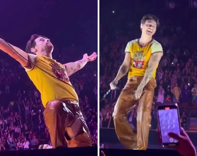 Harry Styles split his pants on stage mid-performance and owned the accident with humor, winning over the audience even more.