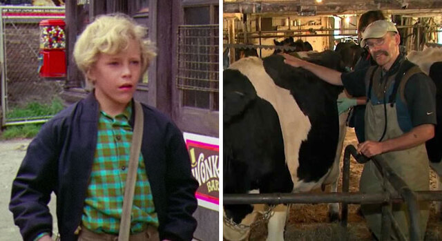 Peter Ostrum — From Child Star to Dairy Veterinarian