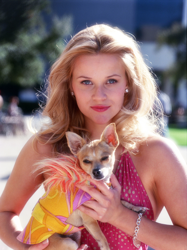 Reese Witherspoon’s true rise to stardom came with her portrayal of Elle Woods in the 2001 comedy Legally Blonde.