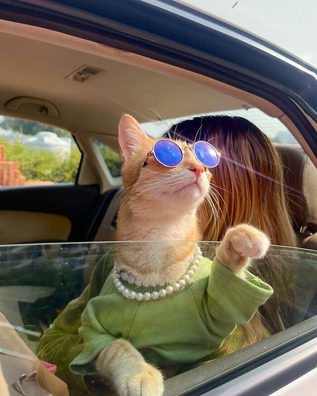 August’s owner plays a significant role in curating her looks and ensuring that each photoshoot is a success.