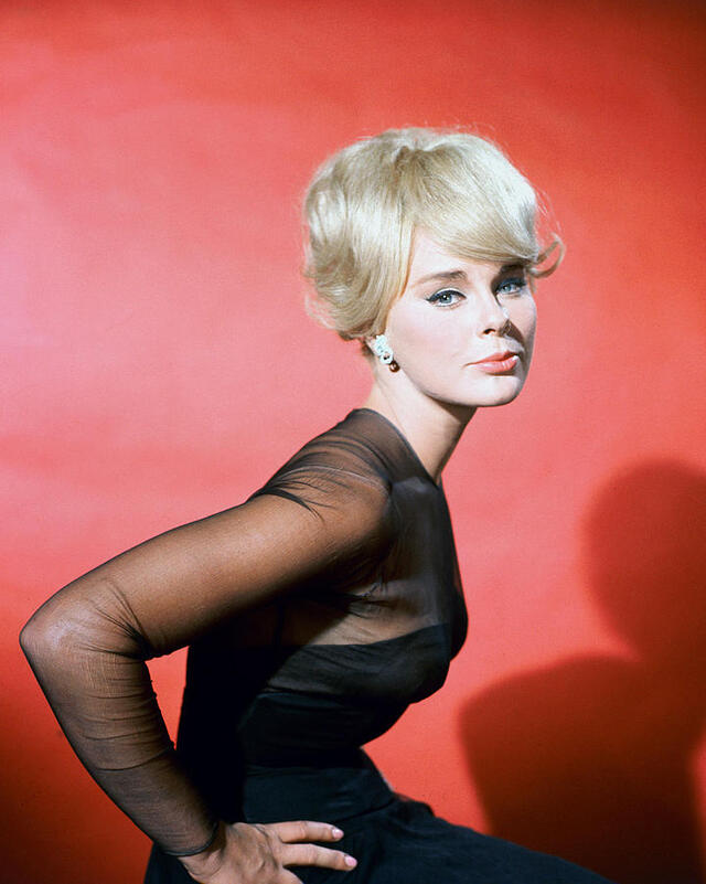 Elke Sommer: The European Beauty Who Conquered Hollywood and Redefined Stardom