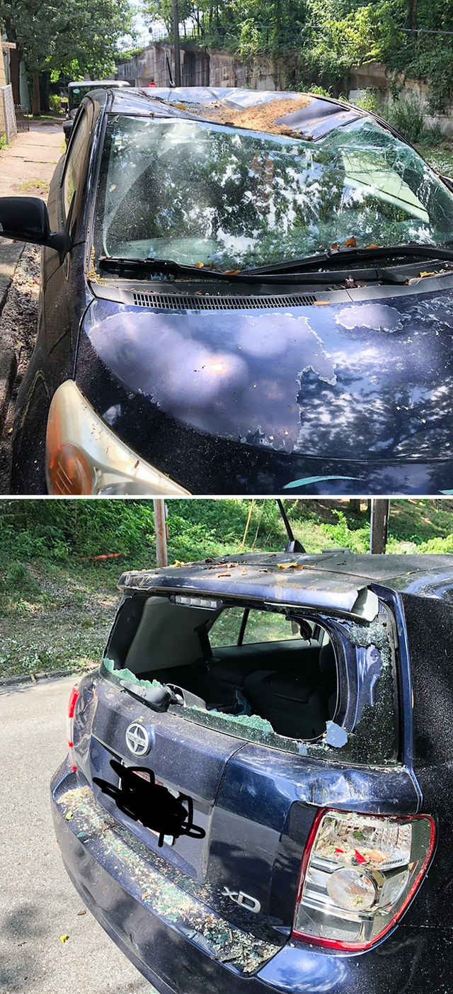 The trip to the Grand Canyon that turned into a disaster.