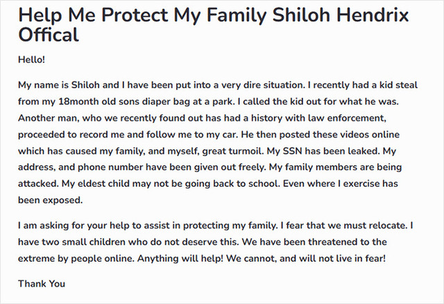 One of the most controversial aspects of the Shiloh Hendrix case was the fundraising campaign she launched following the incident