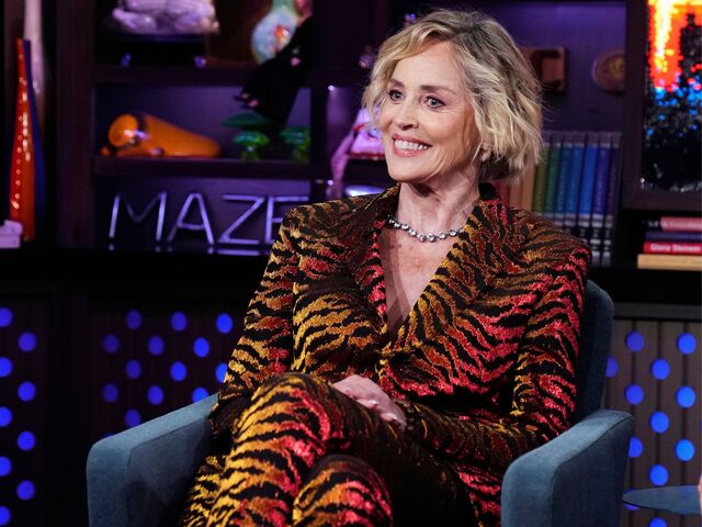 Sharon Stone’s ‘Blue Collar’ Comment and Its Backlash