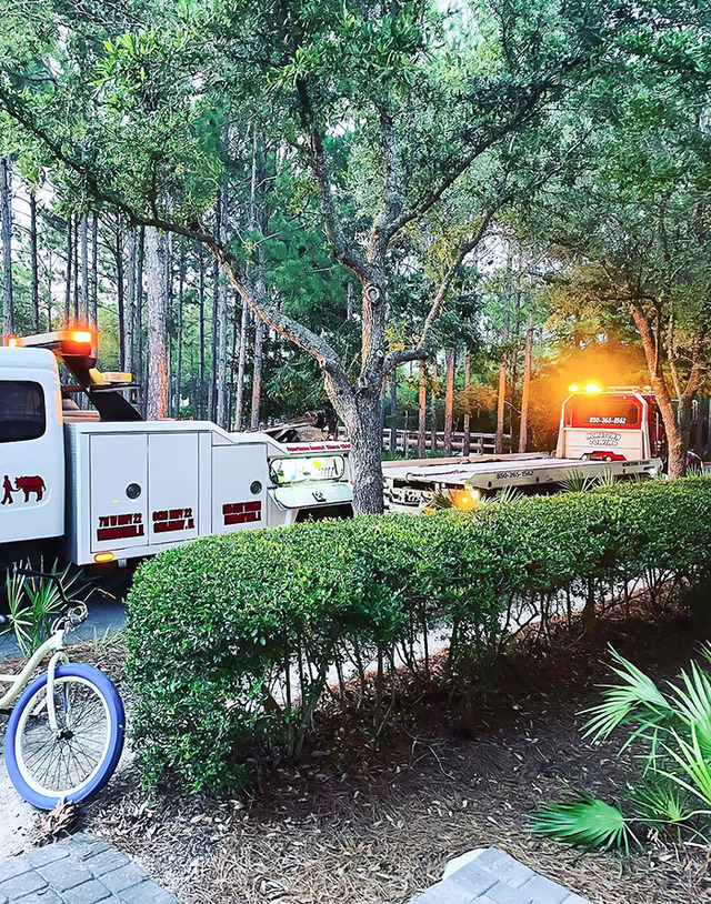 Tow truck inception—when your rental car breakdown leads to another breakdown.