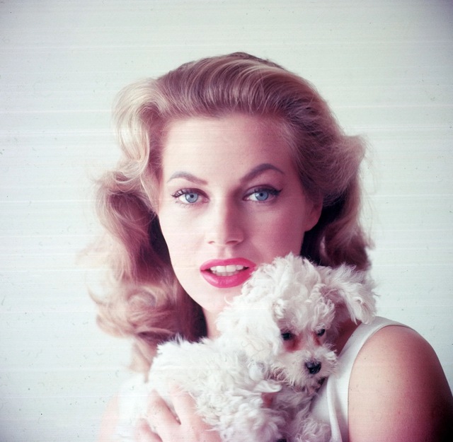 She Walked Into Cinema History and Never Left: The Enduring Story of Anita Ekberg