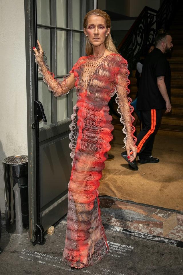 Céline Dion donned a dizzying array of wavy 3D strands that transformed her into a living optical oscillation.