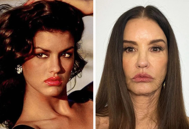 Janice Dickinson remains unapologetic about her dramatic evolution from a supermodel to a reality TV star.