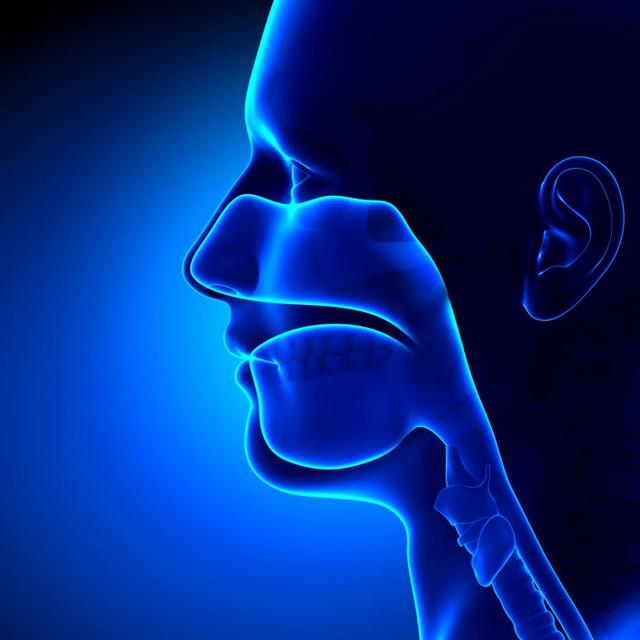 Nasal obstructions often force your body to switch to mouth-breathing at night